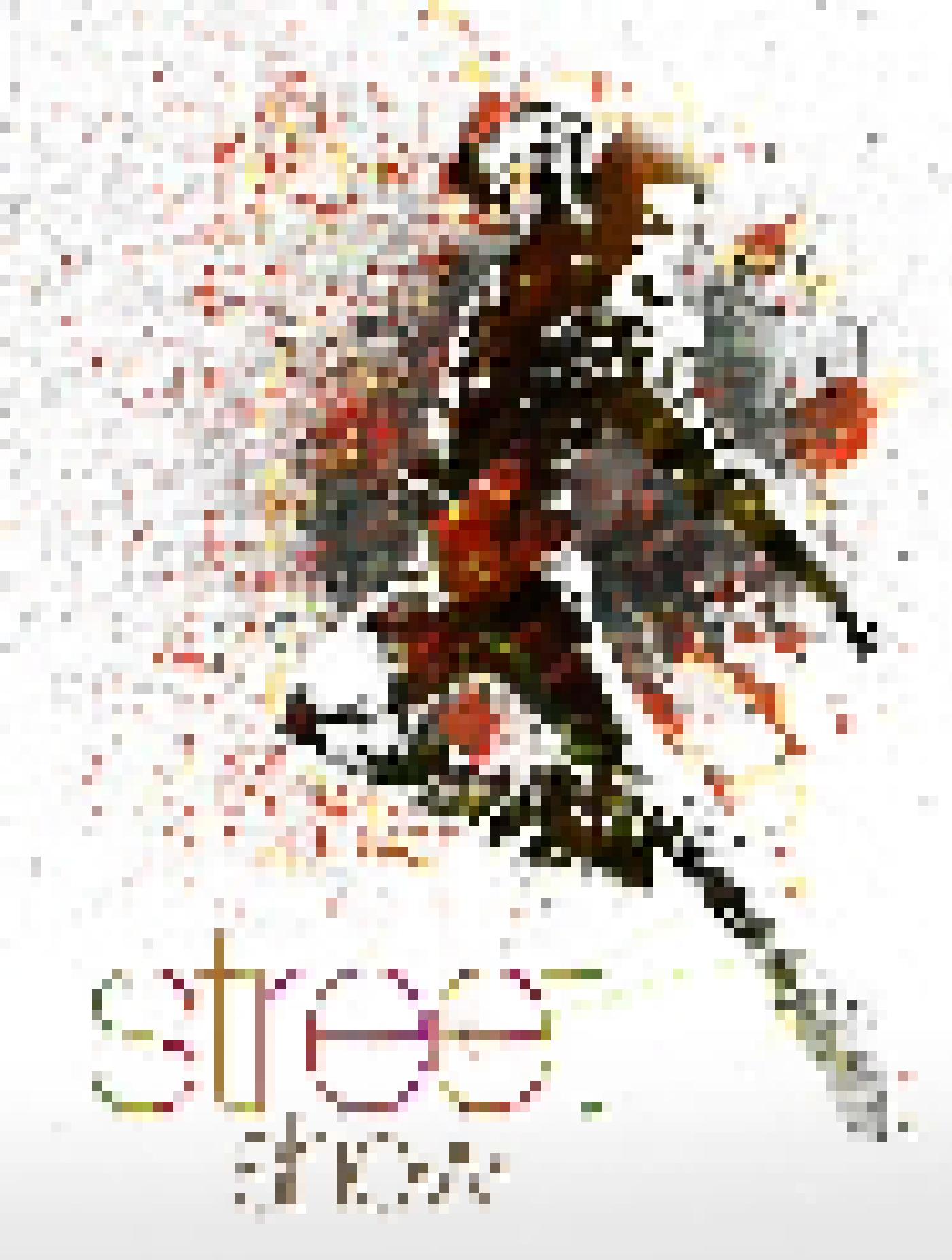 street